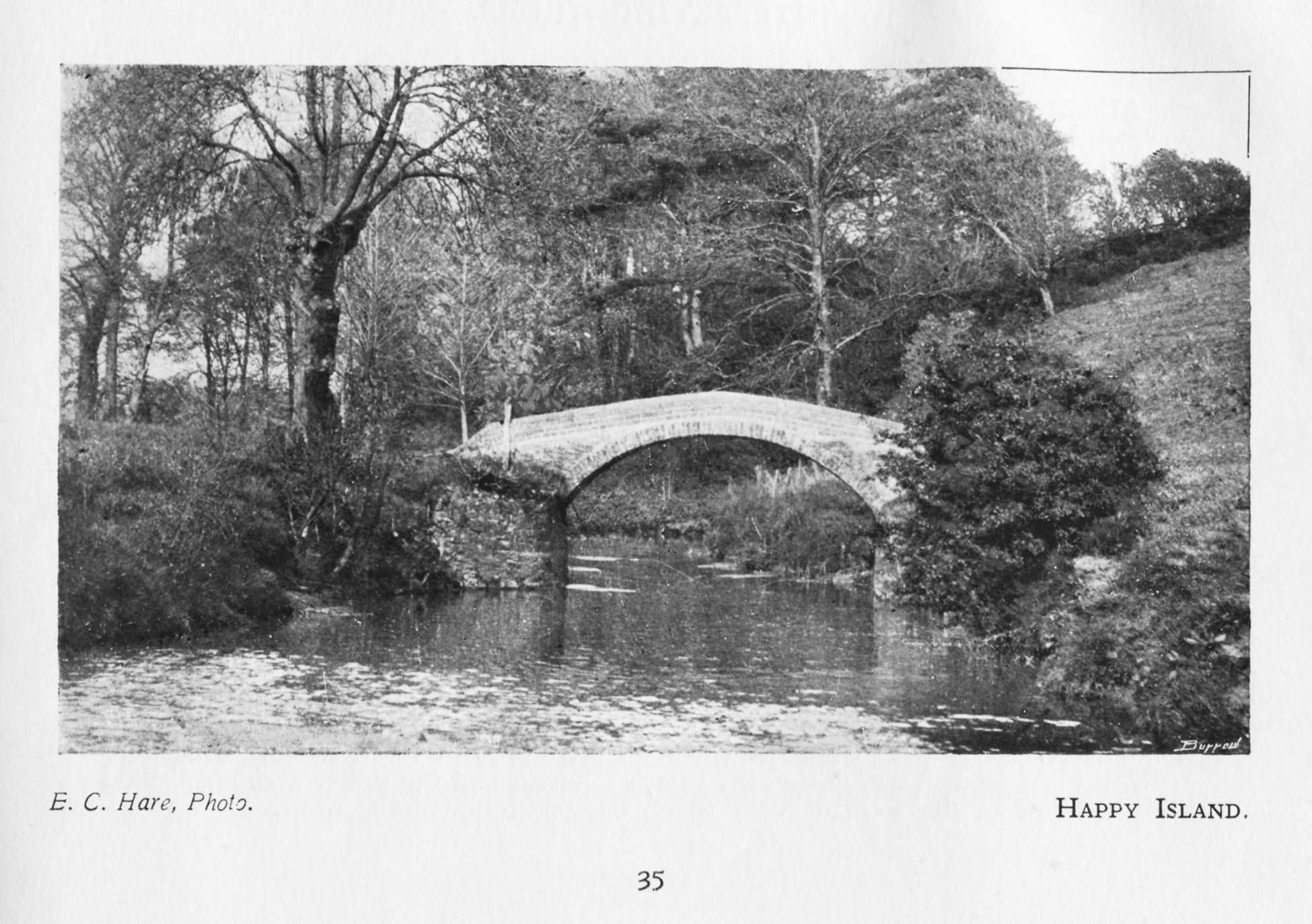 Images of Bridport