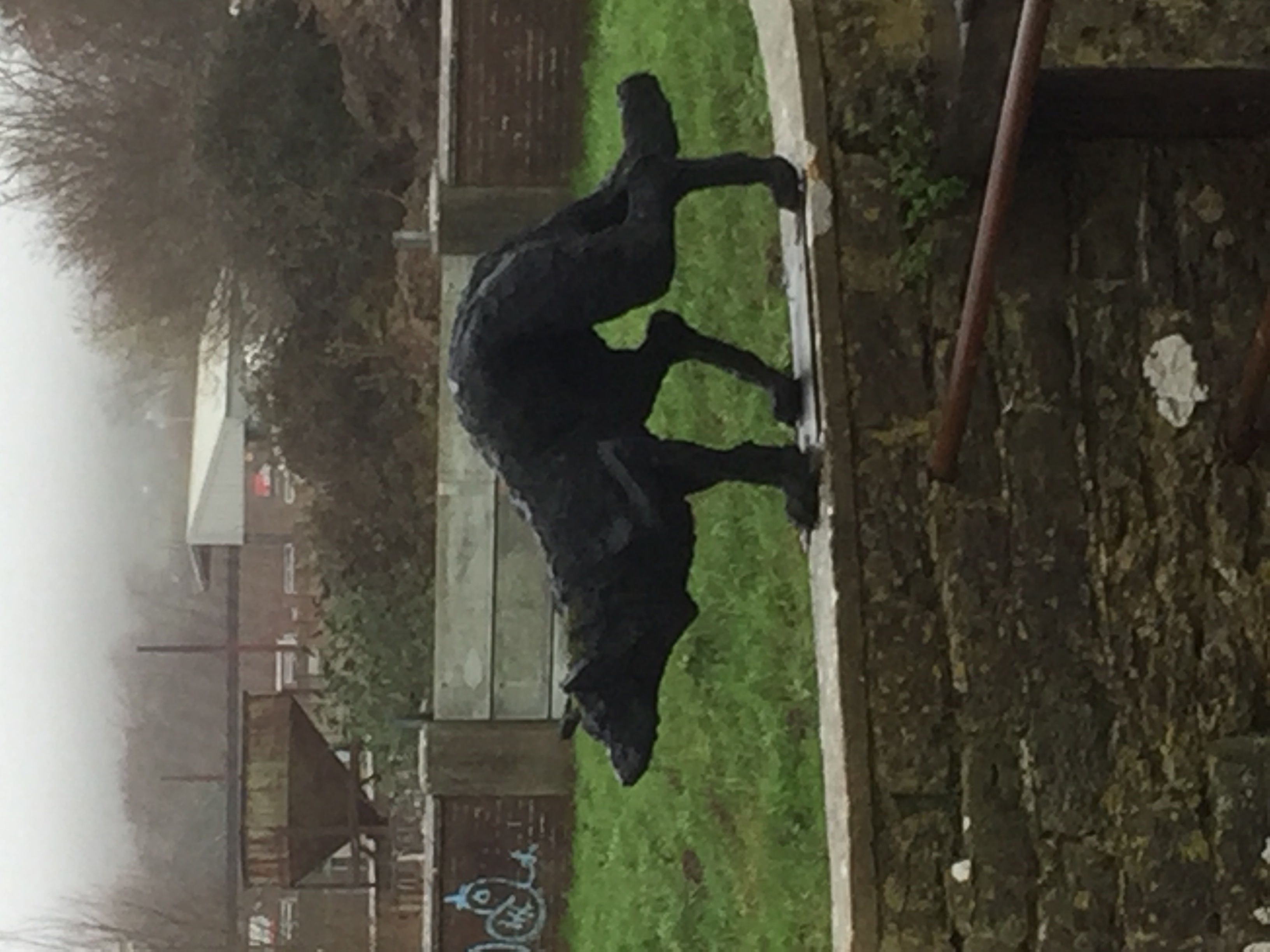 Images of Bridport