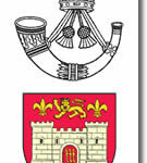 rifles-capbadge