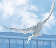 robot-gull