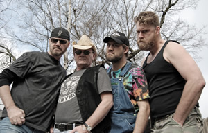 hayseed-dixie