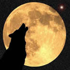 lone-wolf-moon2