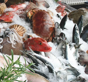 seafood