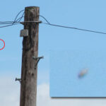 ufo-bridport