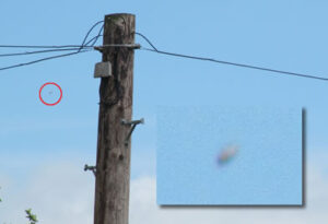 ufo-bridport