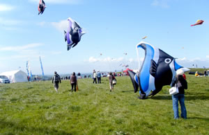 kite-fest