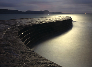 lyme-cobb