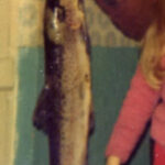salmon