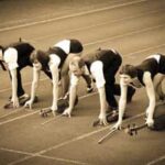bowlympics2