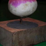 turnip-prize