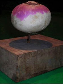 turnip-prize
