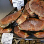 crab