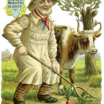 three-acres-and-a-cow