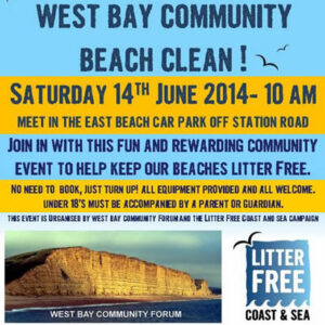beach_clean_2014