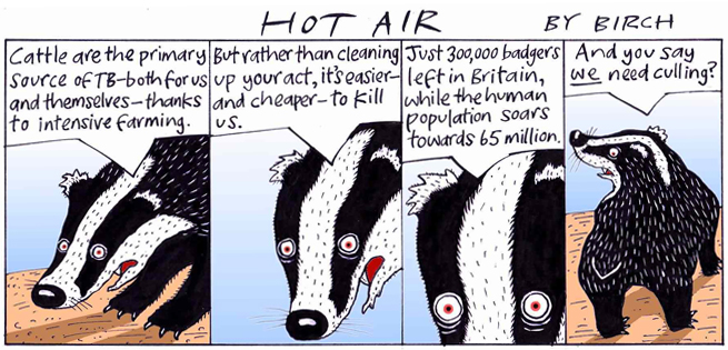 badger-cartoon