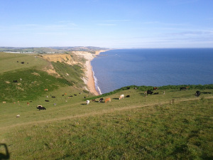 jurassic-coast