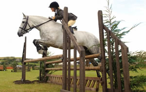 melplash-show-jumping