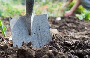 digging