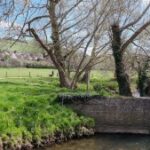 askers_meadows_weir