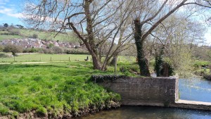 askers_meadows_weir
