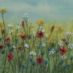 deborah-tiltman-wild-flowers