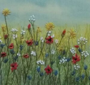 deborah-tiltman-wild-flowers