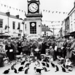 Bridport cat festival best in show
