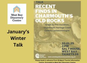 Recent Finds in Charmouth Old Rocks